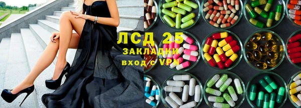 спайс Аркадак