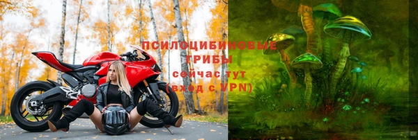 спайс Аркадак